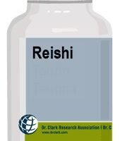 Reishi - Champignon - Dr Clark