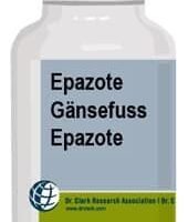 Ansérine - Epazote Dr Clark